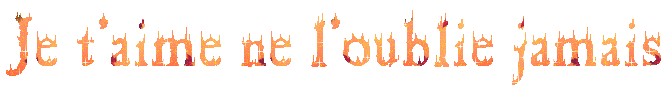 Je t'aime ne l'oublie jamais